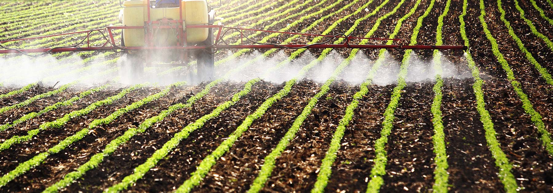 Seabird guano organic farming fertilizers made for Australia